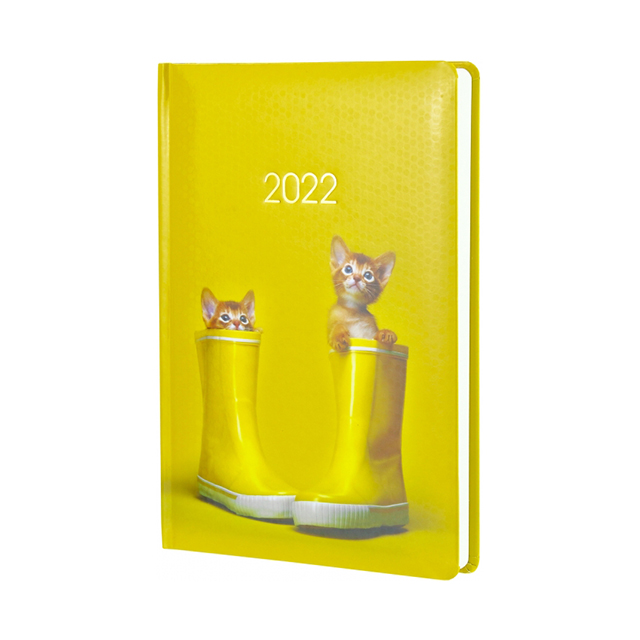 Щоденник EconoMix Стандарт Кошенята в чобітках 2022 жовтий з малюнком